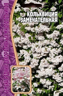 Кольквиция Замечательная, 4 шт.