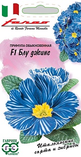 Примула обыкновенная Блу джинс, 5 шт. Фарао.
