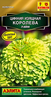 Цинния изящная Королева, лайм, 5 шт.