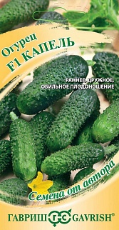 Огурец Капель F1, 10 шт. Авторские семена.