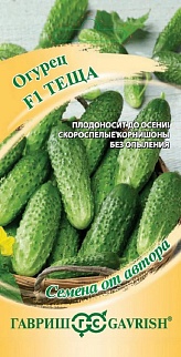 Огурец Теща F1, 10 шт. Авторские семена.