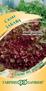 Салат листовой Забава, 0,5 г. Авторские семена.