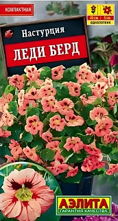 Настурция Леди Берд, 1 г