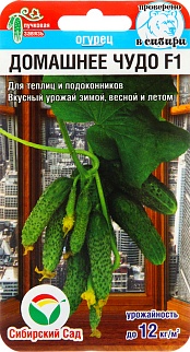 Огурец Домашнее чудо F1, 7 шт. Сибирский сад